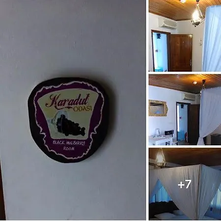 Ala Baykus Butik 2* Alacati